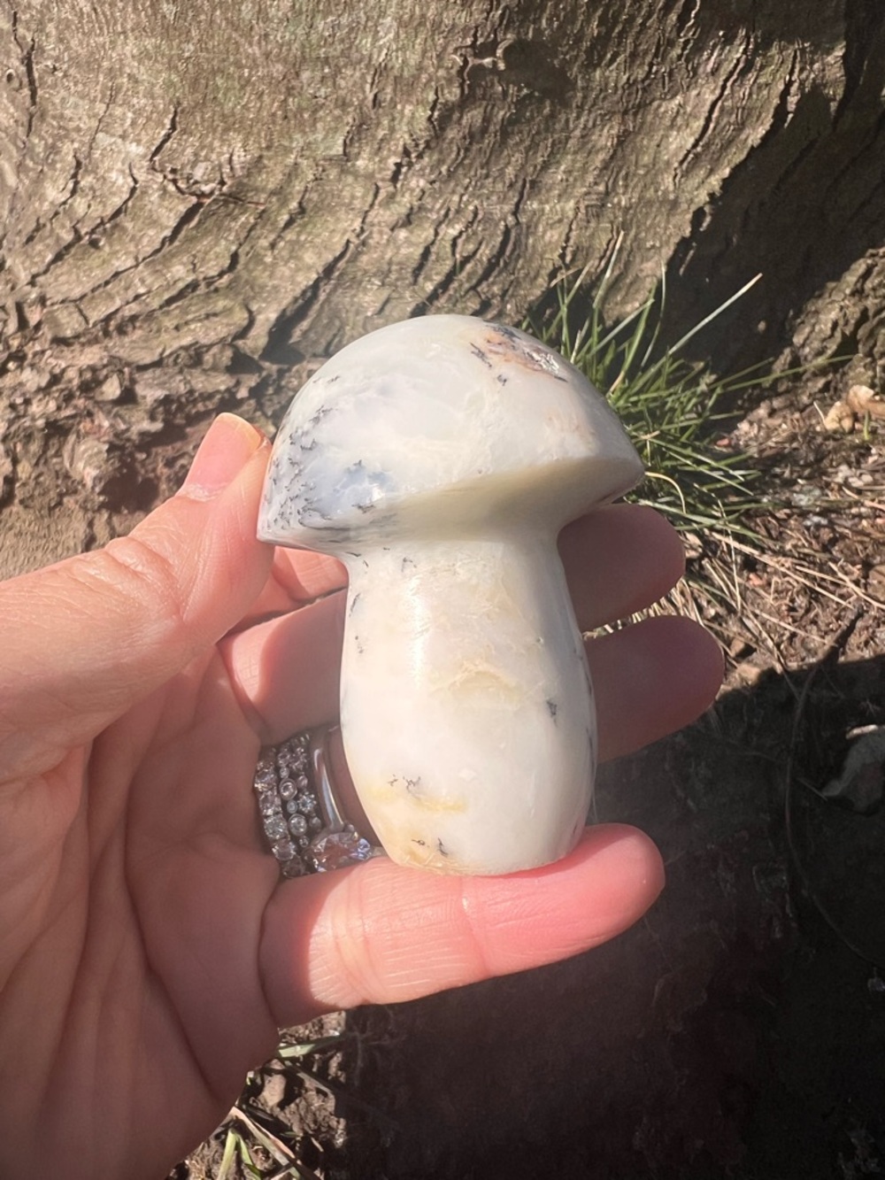 Dendritic (6) Opal Mushroom carving | crystal